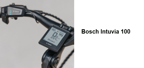 bosch in