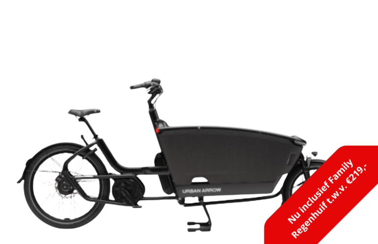 Urban Arrow Family Next Advanced