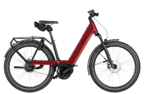 Riese & Müller Nevo5 Vario