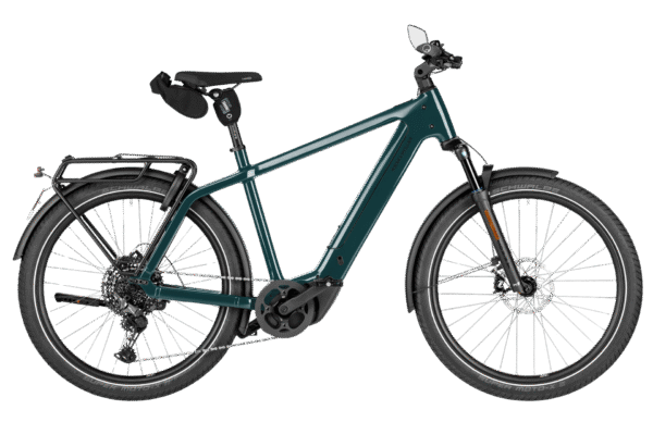 Riese & Müller Charger5 Touring HS Pine