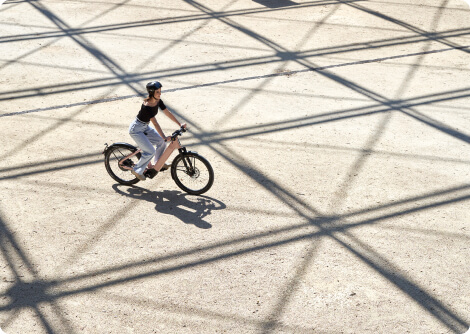 Opium Model L 4 - Vietz - de specialist in E-bikes en Speed Pedelecs Opium Model L - Afbeelding 4